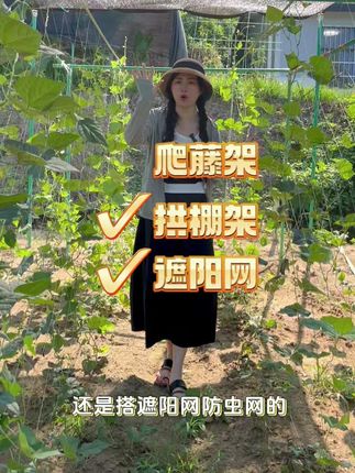 可搭爬藤架 拱棚架 #玻璃纤维杆拱棚支架#蔬菜爬藤架#玻璃纤维杆拱棚支架厂家#种菜