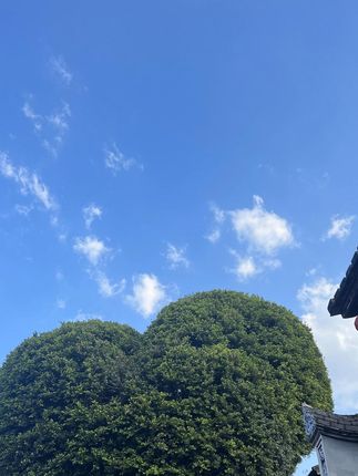 #黑咖啡 #速溶咖啡 #每日分享 #熬夜必备 #治愈系风景