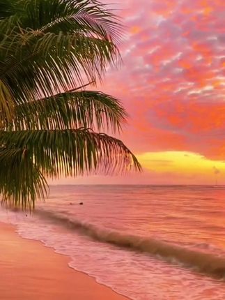 家里阳台小,用这个不锈钢#螺旋式晾衣架 晒床单被子被套,承重力强,还省空间,干的快还不皱#旋转晾衣架