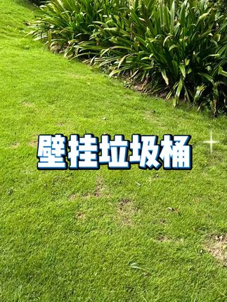 卫生间夹缝壁挂垃圾桶 #厨房客厅挂壁桶 #带盖悬挂垃圾桶 #厕所专用垃圾桶