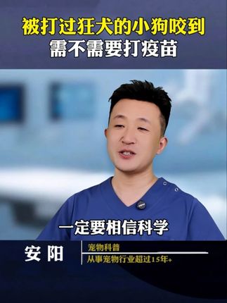 被猫狗抓伤咬伤,什么情况下需要打,什么情况下不需要呢? #科学养宠攻略 #狂犬病 #萌宠好物 #新手养狗 #养狗经验分享