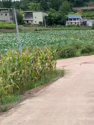 辣妈队长冷水爆炸盐超强去污去渍白衣服去黄增白护色家用神器家庭 终于找到不用热水泡,冷水就能洗的#爆炸盐 #污渍轻松去除 #去污神器 #冷水爆炸盐 #爆炸盐真是个好东西