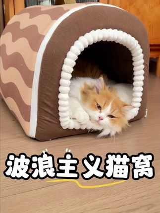 降温啦,快给毛孩子安排个厚实柔软不变形的窝窝吧#猫窝 #萌宠好物 #萌宠出道计划 #猫咪 #养猫人
