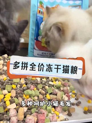 多拼全价冻干猫粮 源头工厂冲量价格划算!夏天吃这款高蛋白果蔬猫粮太合适了!#猫粮 #猫粮推荐 #抖in萌宠计划 #猫粮推荐 #冻干猫粮