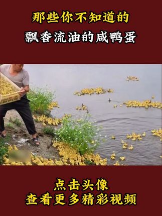 那些香的流油的烤海鸭蛋#科普 #鸭蛋 #一定要看到结尾