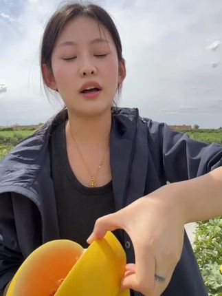 现在这个头茬民勤蜜瓜上市了,真的从没吃过比它还要甜的瓜,一口下去甜到心里,冰镇一下更好吃