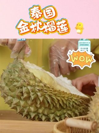 【顺丰包邮】泰国进口金枕榴莲液氮冷冻保鲜整果带壳应当季 #榴莲爱好者 #金枕榴莲 #榴莲肉 #开榴莲 #吃货必备 @DOU+上热门 @DOU+小助手