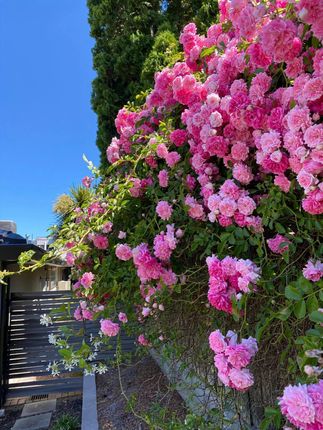 许家印进去以后,她竟火急火燎的结婚了#恒大歌舞团 #人物故事 #古书古籍 #好书分享