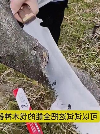 高硬度特厚大佬佬苏砍锯据两用刀锯户外多功能砍伐锯手锯特快锰钢 #结实耐用 #正品保证 #好物推荐🔥