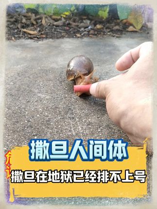 感觉撒旦在地狱已经排不上号了 #撒旦 #活阎王 #MVP #内容启发搜索