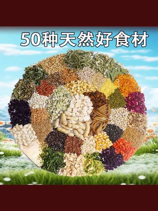 想要科养鼠鼠的宝子,可以看看这款好仁卡德系金丝熊鼠粮 #新手养宠 #养鼠日常分享 #金丝熊