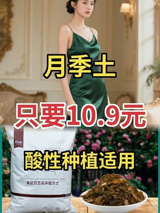 彩乐植微酸营养土,种三角梅超好用!进口泥炭配颗粒#三角梅种植 #微酸营养土 #养花必备