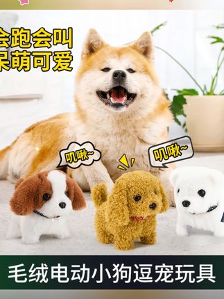 宠物玩具萌趣电动小狗毛绒玩具自嗨解闷消耗精力发声玩具互动玩具#宠物玩具 #电动小狗玩具 #宠物自嗨玩具 #萌趣玩具 #宠物互动玩具