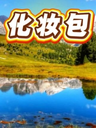 新款化妆包大容量分区收纳出差旅行便携包上班饭盒包相机包手提包
