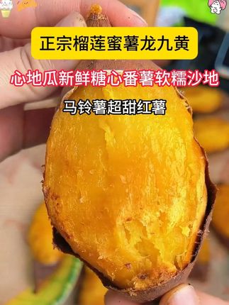 #红薯 #马铃薯 #榴莲蜜薯 #快来一起尝个鲜 #优质农产品