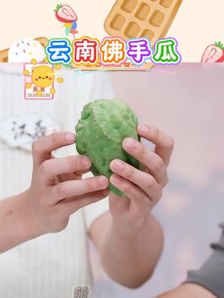 现摘云南新鲜佛手瓜清甜多汁薄皮应季蔬菜(净重5斤) #佛手瓜 #清甜多汁 #薄皮 #应季蔬菜