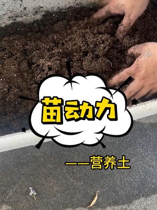 植物通用型#营养土 #种植小技巧 #花卉绿植 #养花小知识 #爱生活爱养花