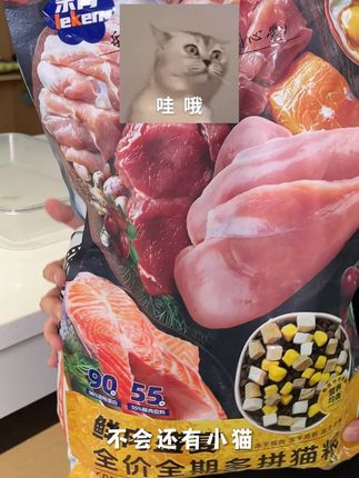 多猫家庭选粮不踩雷,乐肯鲜肉盛宴猫粮 #猫粮#养猫人 #铲屎官的乐趣 #猫咪