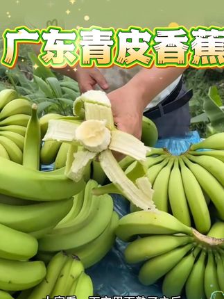 高山绿皮香蕉香甜软糯9斤5斤广西产地自然熟新鲜水果 #高山绿皮香蕉 #香蕉 #优质农产品 #高山香蕉 #好物分享 @DOU+上热门 @DOU+小助手