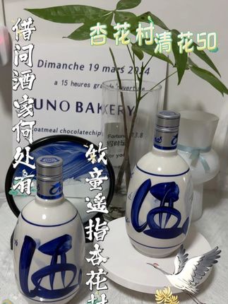 房岩小哥推荐杏花村清花50,299到手12瓶53度清香型白酒,不论是自己喝还是送人都很合适#房岩小哥 #酒 #喝酒 #酒文化 #召唤酒友
