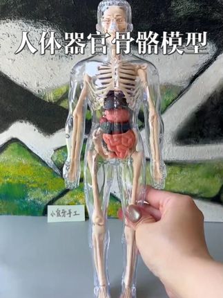 #模型 #好物 #好物推荐🔥 #好物种草 #好物畅买不打烊