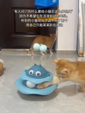 白天让猫咪玩一玩,晚上也不影响我们睡觉了#猫咪 #猫玩具 #宠物用品 #猫咪日常 #萌宠分享