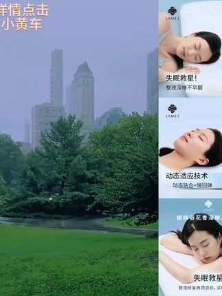 蜡梅谷花香深睡枕多功能记忆棉枕头侧睡护颈椎成人家用慢回弹支撑