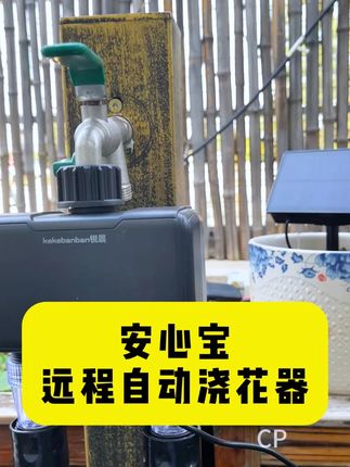 懒人必备浇花神器,手机远程控制太阳能自动浇花器,雾化喷淋套装#浇花器 #自动浇水器 #WIFI浇花器 #手机远程浇花器