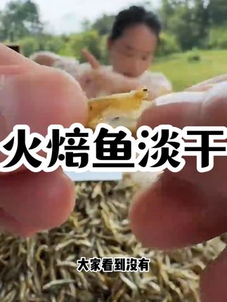 【淡干无盐 不苦】湖南毛毛鱼干无盐无沙火焙鱼淡干公鱼小鱼干香 #好物分享 #湖南毛毛鱼干 #热点宝 #火焙鱼淡干 #热点宝
