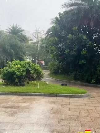 价格便宜质量好多功能防风防晒防水长柄弯钩雨伞 防水套收起来可以避免家里车里都是雨水