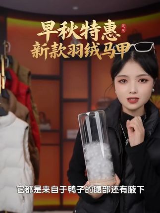 2025新款爆款羽绒短款马甲韩版显瘦百搭马夹立领休闲外穿 #反季羽绒服 #轻奢女装 #户外服装 #羽绒服穿搭 #冬装来袭