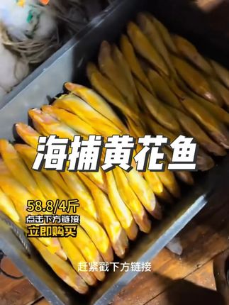 58.8元抢4斤黄花鱼!深海鲜捕,肉嫩少刺,鲜到骨子里#黄花鱼
