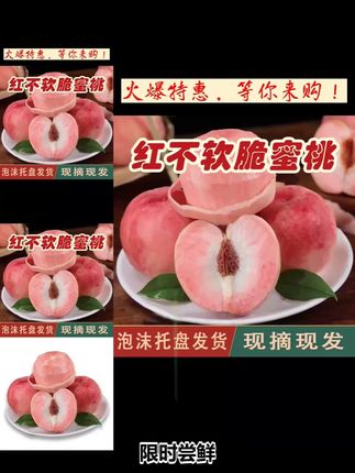 山西运城水蜜桃红不软脆蜜桃新鲜脆甜多汁当季应季水果现摘现发 #应季 #红不软脆 #脆甜