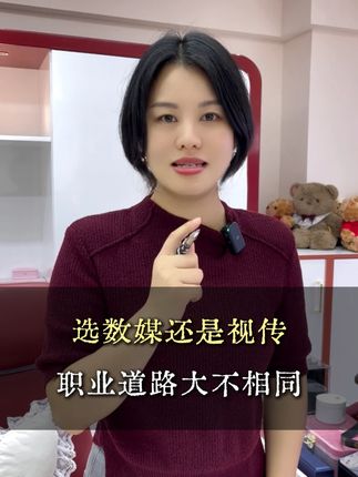 数媒和视传的不同职业路 #美术生 #就业 #数媒 #视传