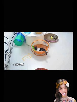 猫咪吊篮秋千造型水果篮简约复古可爱收纳摆件纯手工编织仿藤摇篮