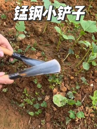 #锰钢小铲子 #园艺工具 #结实耐用 #小铲子种花