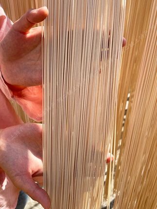 #盐挂面   #营养面条   #营养面条早餐   #麦香味   #老少皆宜