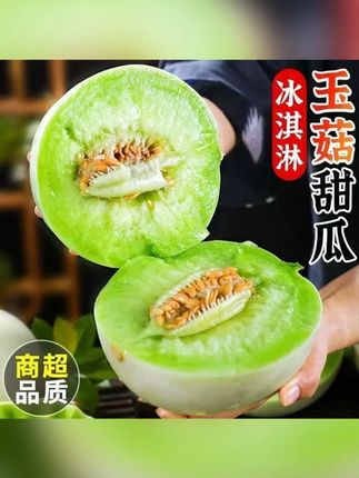 山东头茬玉菇甜瓜现摘香甜软糯玉菇甜瓜带箱5斤#玉菇甜瓜 #山东玉菇甜瓜 #玉菇瓜 #甜瓜 #山东甜瓜