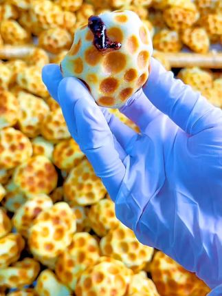 中秋节提前购山西特产石头饼红糖芝麻馅进店必打卡解馋红糖饼#山西石头饼 #红糖芝麻馅 #中秋节零食 #特产美食 #解馋小吃