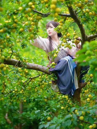 #夏天的李子熟了 它就是甜到心尖的冰糖李子,爆甜多汁,重新定义李子的甜,吃过一次就会爱上!#酸甜可口 #味道好极了 #蜂糖李 #李子 q