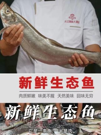 清蒸白丝鱼,肉质细嫩做法简单方便,味道很不错。 #白丝鱼 #翘嘴 #清蒸鱼的做法 #清蒸鱼