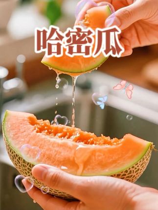 沙漠黄金蜜瓜大丰收了!13.7就给咱们发10斤