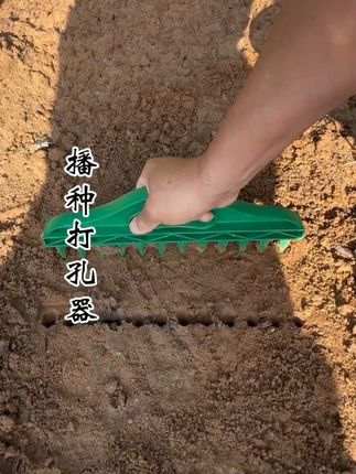 播种子神器