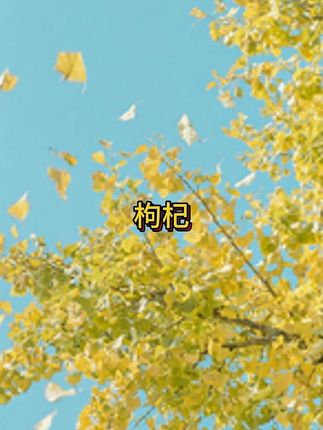 宁夏中宁大果枸杞~终于来活动了,赶紧冲!#超便宜超划算 #枸杞