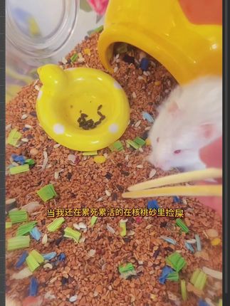 布卡星核桃砂生物酶仓鼠垫料金丝熊芦丁鸡通用木屑除臭吸水专用品