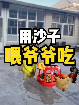 当我看见喂鸡要加沙子 原创@猫meme呦 #猫meme日常 #抽象 #离谱 #逆天