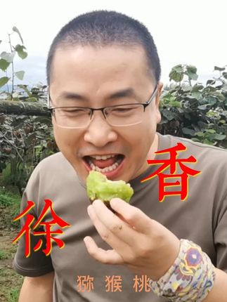 陕西徐香猕猴桃 一口爆浆!酸甜可口,维C满满,果肉翠绿饱满,老少孕皆可食用!#徐香猕猴桃 #新鲜采摘 #香甜多汁 #绿心猕猴桃 #猕猴桃