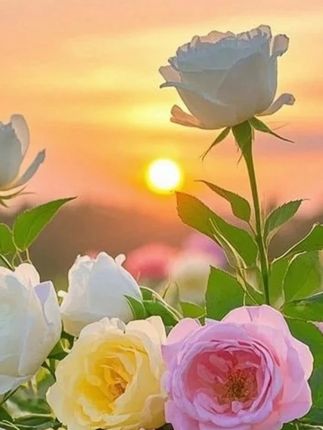 宇宙之下,烦恼如尘埃,这一刻似乎一切都不重要了,唯愿你感受生命的绚烂。