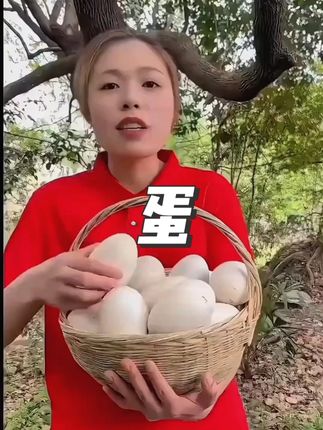 这种起沙流油的海鸭蛋你吃过吗?不是特别咸的那种哦#流油海鸭蛋 #烤鸭蛋 #优质农产品 #咸鸭蛋 #红树林海鸭蛋
