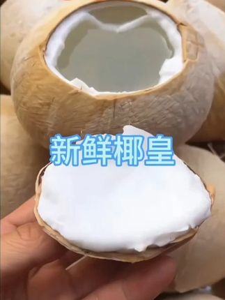 进口泰国新鲜椰皇当季网红椰子批发椰青奶椰孕妇水果单果300克起#椰皇 #网红椰子 #椰青奶 #新鲜椰子 #奶香浓郁